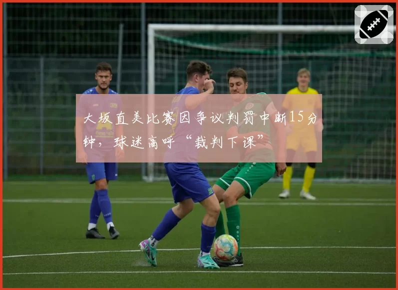 大坂直美比赛因争议判罚中断15分钟,球迷高呼“裁判下课”