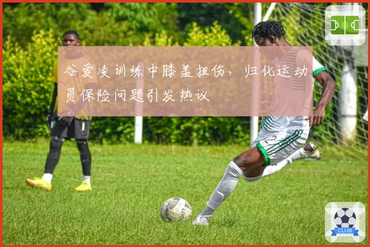 谷爱凌训练中膝盖扭伤，归化运动员保险问题引发热议