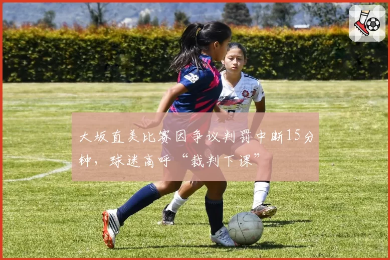 大坂直美比赛因争议判罚中断15分钟,球迷高呼“裁判下课”