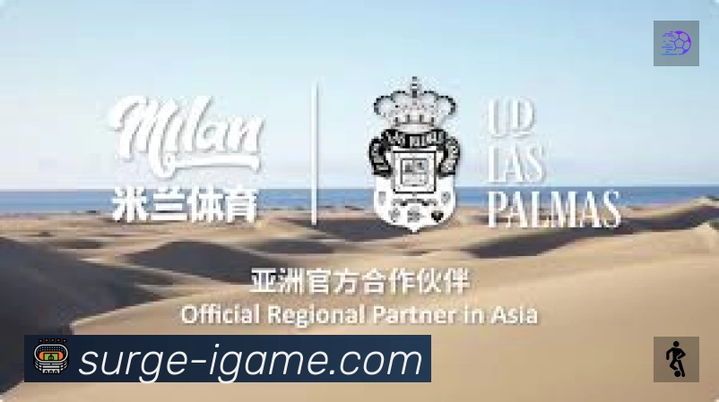 奖项证书